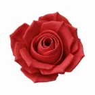 Filamenton PREMIUM PLA - Karminrot - 1,75 mm