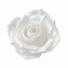 Filamenton PREMIUM PETG - Natur - 1,75 mm