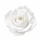 Filamenton PREMIUM PETG - Weiß - 1,75 mm - 100g