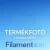 Filamenton PREMIUM PETG - Rot- 1,75 mm