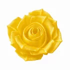 Filamenton PREMIUM PETG - Transparent Gelb - 1,75 mm - 500g