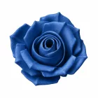 Filamenton PREMIUM PETG - Metallic-Blau - 1,75 mm - 500g