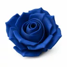 Filamenton PREMIUM PLA - Königsblau - 1,75 mm